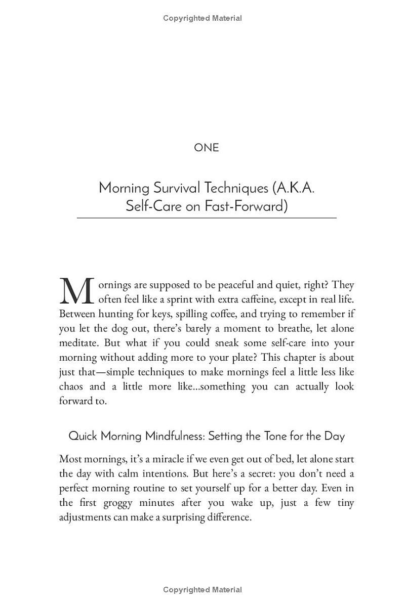 Self-Care(ish) Sanity Hacks: A Humorous Guide to Surviving the Chaos of Everyday Life (Life Uncomplicated: Practical and Playful Guides for Thriving in the Chaos)