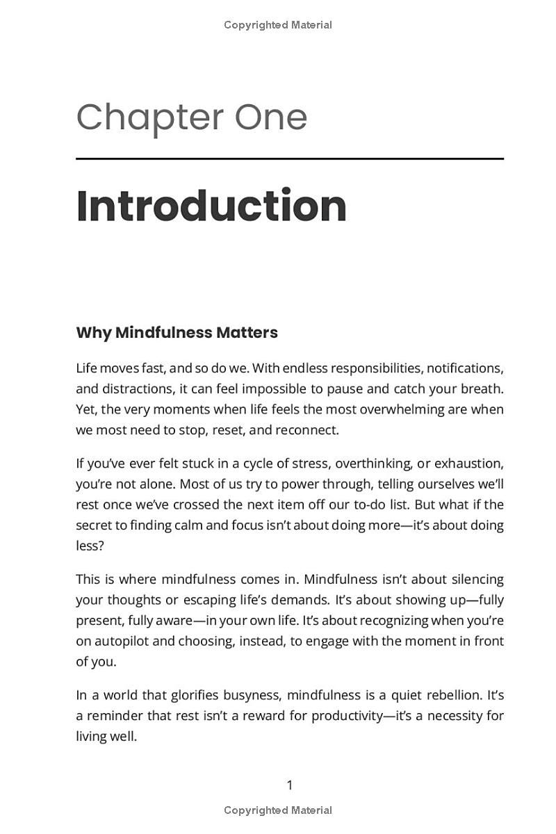 The Five-Minute Reset: Simple Mindfulness Techniques for a Busy Life: Quick Practices to Reduce Stress and Enhance Well-being