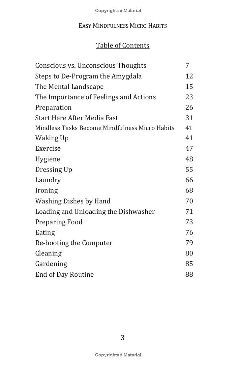 How To Change Your Life With Easy Mindfulness Micro Habits: Declutter Your Mind, Stop Negative Thinking and Empower Yourself