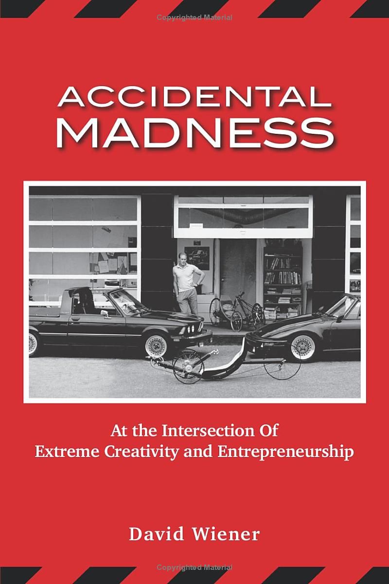 ACCIDENTAL MADNESS: At The Intersection of Extreme Creativity and Entrepreneurship