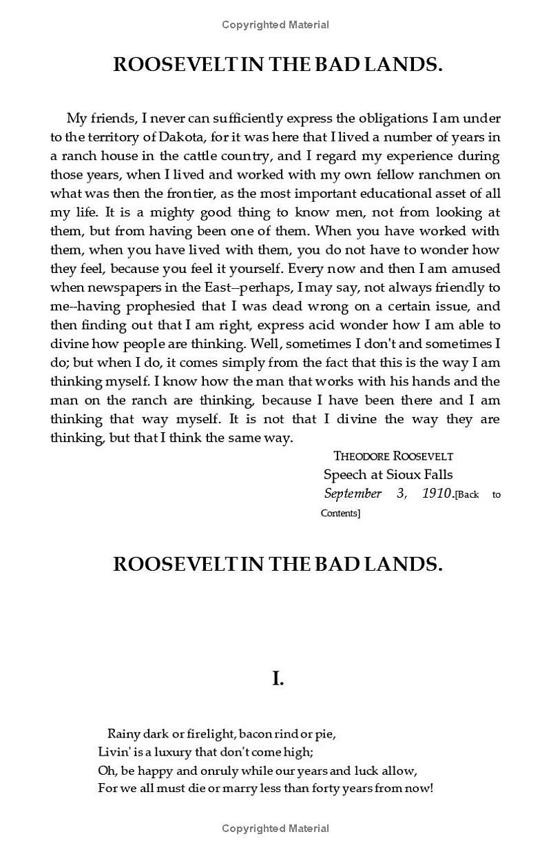 Roosevelt in the Bad Lands