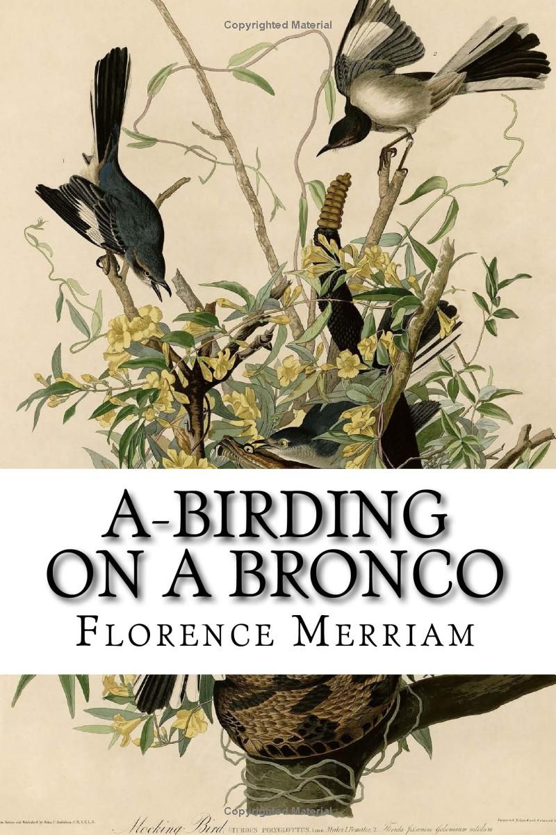 A-Birding on a Bronco (Classic Books)